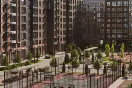 Сдача 25 год