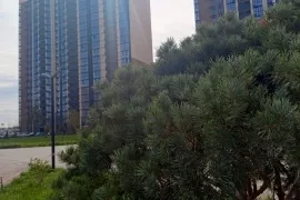 2 к. кв